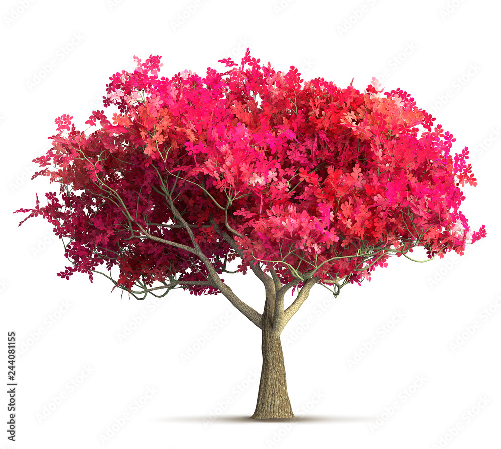 cherry blossom tree isolated 3D illustration Stock Illustration | Adobe ...