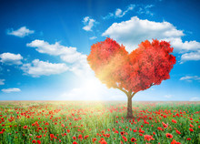 Fantasy Valentines Landscape With Red Tree In Shape Of Heart