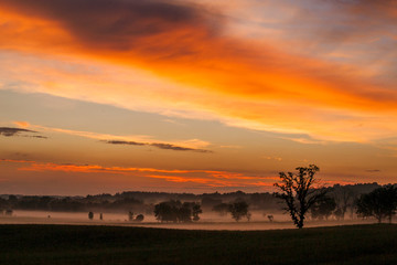 A bright orange sunset over farmland and ground fog.