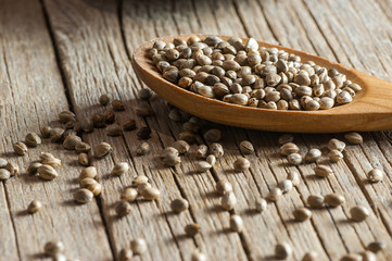 Heap of dried organic hemp seeds or cannabis plant seeds in spoon on wooden backdrop. cannabis herb concept. hemp seed used birdseed