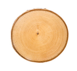 Wall Mural - cross section of tree trunk with annual growth rings isolated on white background