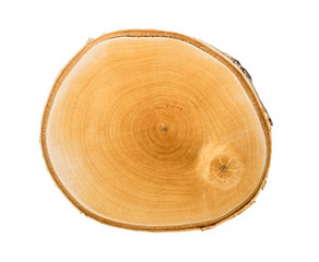 Wall Mural - cut wood tree slice with natural edges rings on white with empty space