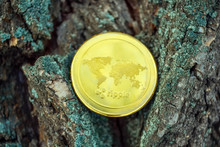 Golden Coin Of Virutal Currency Laying On  Bark Background