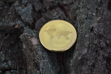 Golden coin of virutal currency laying on  bark background