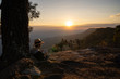 © amenic181 - Woman sitting under pine tree reading book  looking out at beautiful natural view