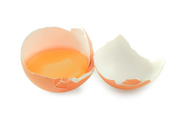 egg shell on white background