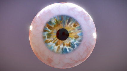 Realistic human eyeball isolated on dark grey background, 3D illustration