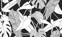 Vector Tropical Seamless Pattern. Exotic Plants On Black Background. Abstract Floral Seamless Pattern. Textile Print.