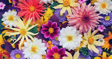 Beautiful Floral Background For Greeting Or Postcard. Toning