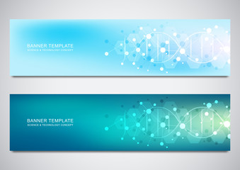 Wall Mural - banners and headers for site with dna strand and molecular structure. genetic engineering or laborat