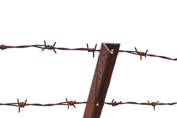 Barbed wire isolated on a white background