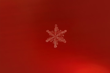 Real snowflake on red background