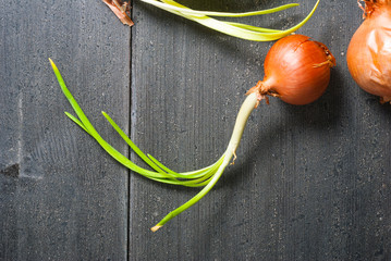 Wall Mural - Red onions