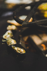 cooking on an open fire. mussels B-B-Q