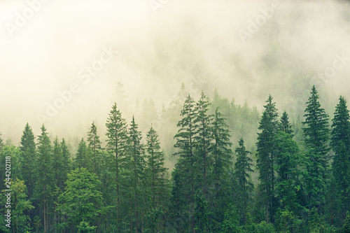 Landscape Premium Masterpiece