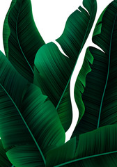 Fototapete - Vector Tropical Banner with Realistic Banana Tree Leaves