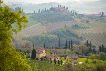 Wall Mural - Typical Tuscan landscape