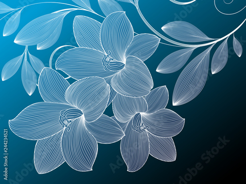 Dekoracja na wymiar  streszczenie-recznie-rysowane-kwiatowy-wzor-z-kwiatami-lilii-ilustracja-wektorowa