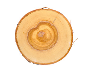 Wall Mural - cross section of tree trunk with annual growth rings isolated on white background