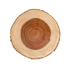 Wall Mural - cut wood tree slice with natural edges rings on white with empty space
