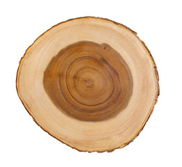 Wall Mural - cross section of tree trunk with annual growth rings isolated on white background