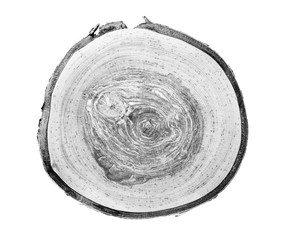 Wall Mural - black and white tree slice. tree stump with annual rings as a wood pattern