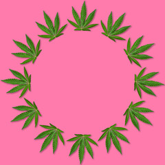 Wall Mural - Hemp or cannabis Leaf Picture frame