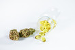 © nokturnal - Öl Kapseln aus medizinischem Cannabis