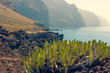 © alexanderkonsta - Stunning view of the huge cliffs of Los Gigantes from Cape Teno. Tenerife. Canary Islands..Spain