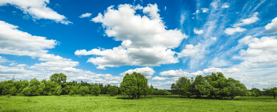 Fototapete -  - green field with trees and blue sky with clouds Sunny day, beautiful rural landscape, panoramic banner