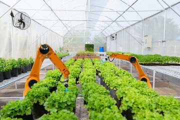 Smart robotic farmers harvest in agriculture futuristic robot automation to work technology increase efficiency