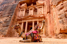 Spectacular View Of Two Beautiful Camels In Front Of Al Khazneh (The Treasury) In Petra. Petra Is A Historical And Archaeological City In Southern Jordan.
