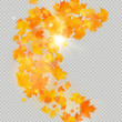 © artifex.orlova - Fall maple leaves frame with delicate sun for decoration. Autumn leaves border template. Design element. EPS 10