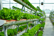 Hydroponic vertical farming systems