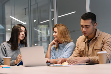 Wall Mural - Group of multiracial university students using laptop computer working project together sitting at table, talking, learning language, exam preparation. Teamwork. Colleagues brainstorming. Meeting