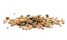 Mixed Bird Seeds, Millet Pile Isolated On White Background