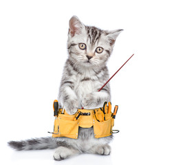Poster - Funny cat worker with toolbelt pointing on empty space.  Isolated on white background