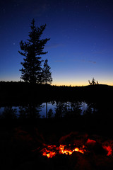 Wall Mural - dying campfire embers. twilight moment before night. lapland, northern finland.