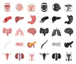 © pandavector - Internal organs of a human cartoon,black icons in set collection for design. Anatomy and medicine vector symbol stock web illustration.