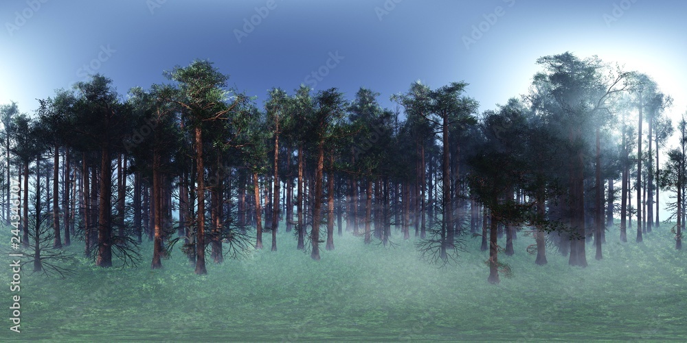 HDRI, environment map , Round panorama, spherical panorama, equidistant ...
