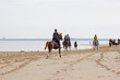 © Miroslawa Drozdowski - riders on horses on the beach in Renesse, Zeeland, the Netherlands