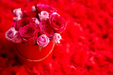 Pink roses packed in box and placed on red feathers background with copy space. Valentines day or Romantic concept.