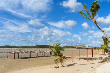 Wall Mural - A view of Coroa do Aviao islet, popular destination on the north coast of Pernambuco state (Igarassu, Brazil)