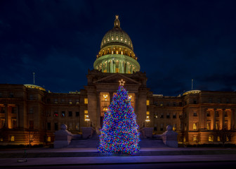 Wall Mural - Beautiful and colorful Capital Christmas trees on the steps in Boise Idaho