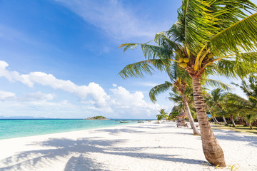 Canvas Print - Asian tropical beach paradise in Thailand