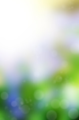 Wall Mural - green bokeh backgroun