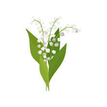 Lily Of The Valley Free Stock Photo - Public Domain Pictures