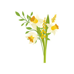 Wall Mural - Bouquet of daffodils with green leaves. Beautiful garden flowers. Botanical theme. Flat vector design