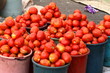 Frische Bio Tomaten zum Verkauf