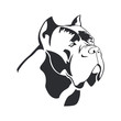 Cane Corso dog logo. Dog element cane Corso black on white background for design. Vector.